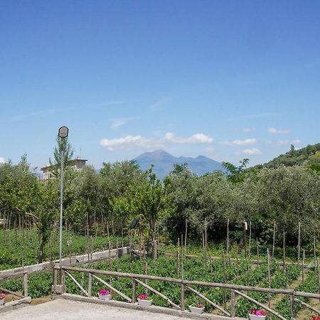 Casa Fiorita Bed and Breakfast Gragnano Buitenkant foto