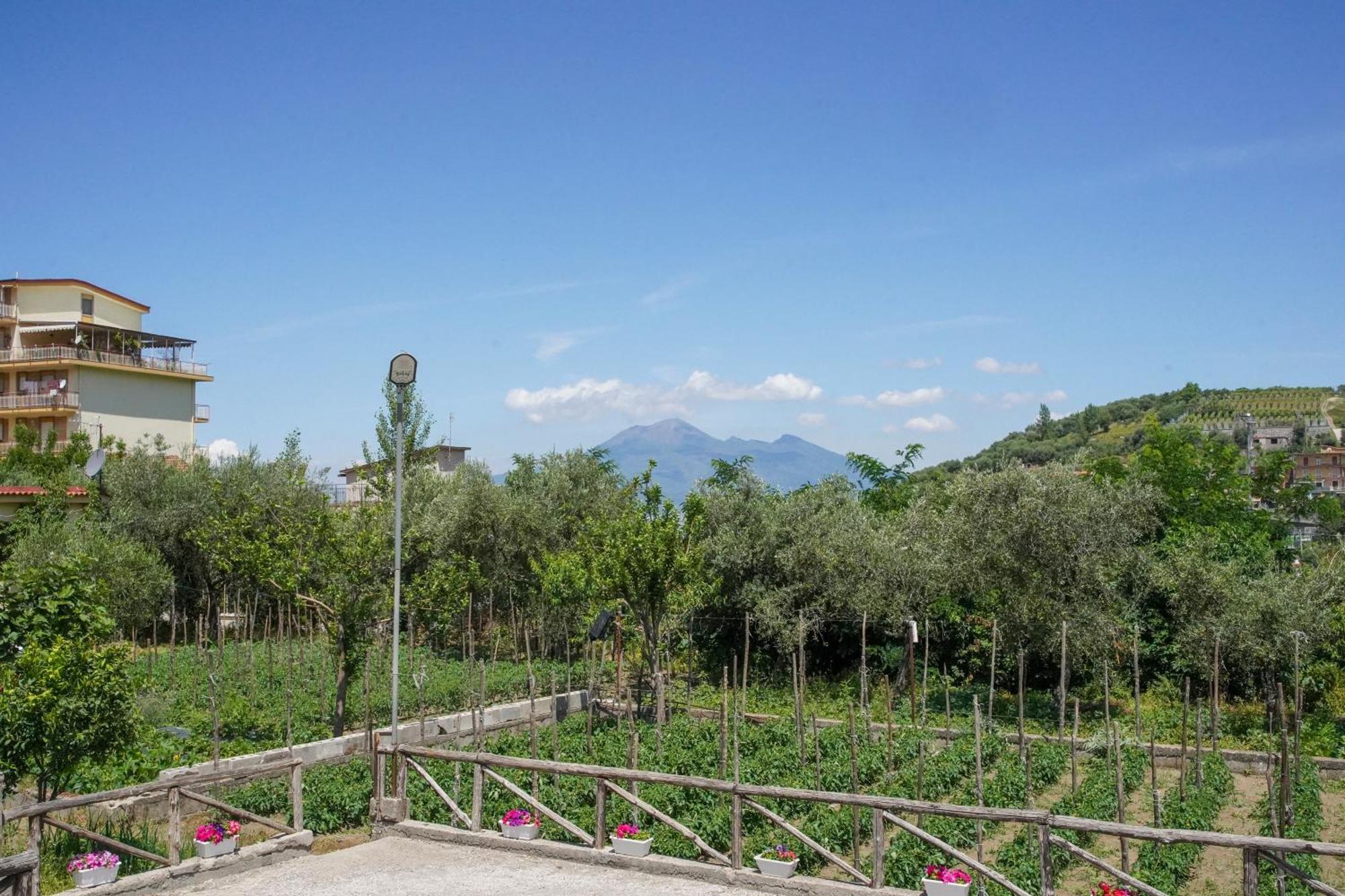 Casa Fiorita Bed and Breakfast Gragnano Buitenkant foto